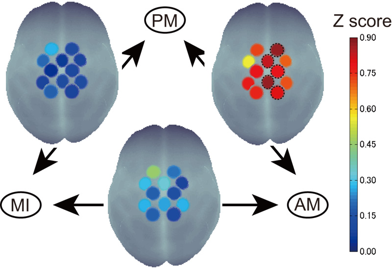 Sensorimotor activity pattern similarity