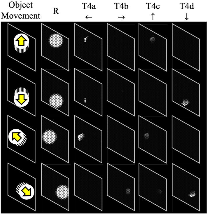 ON-edge detection to the object movement