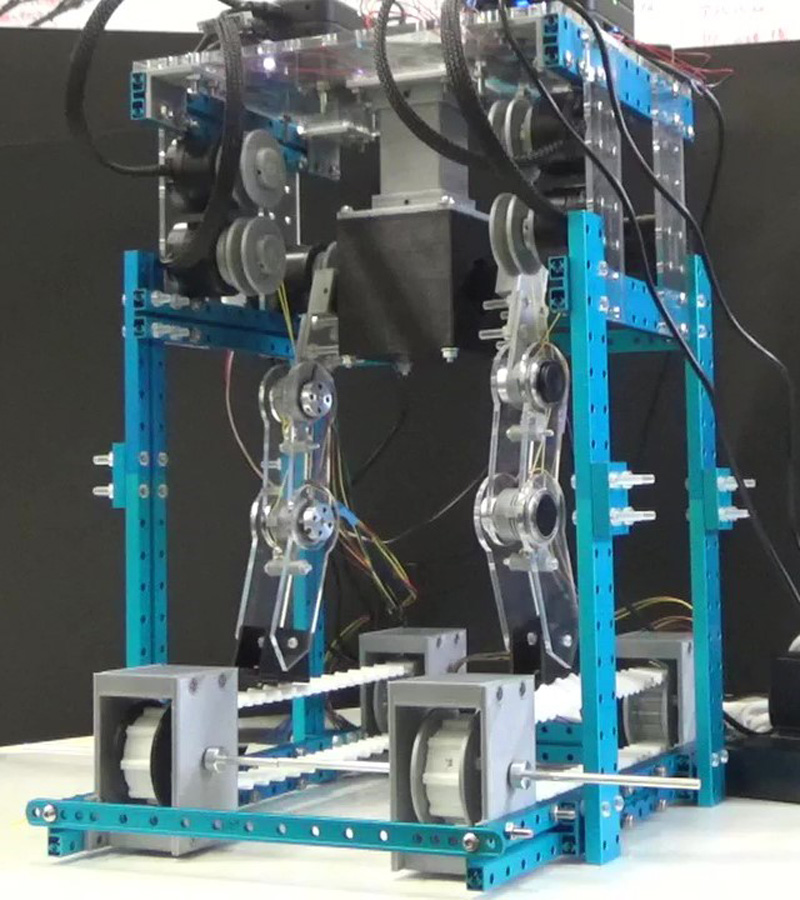 The mechanical closed-loop certainly influenced the physical balances on walking