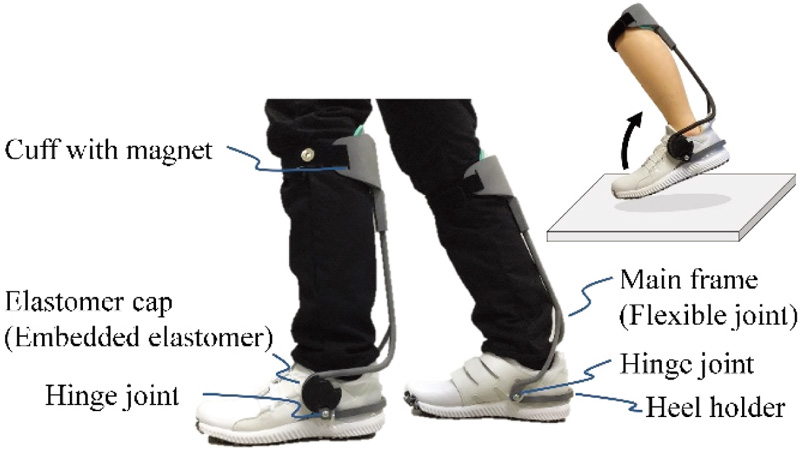 Development and Evaluation of Dorsiflexion Support Unit Using Elastomer Embedded Flexible Joint