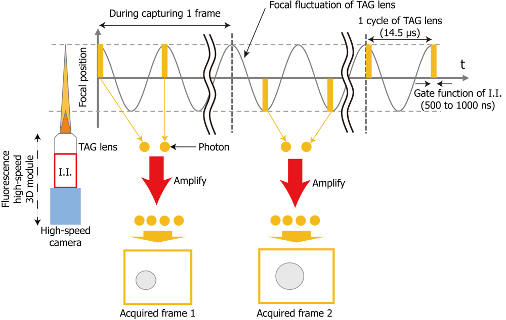 Concept of synchronous modulation of fluorescence high-speed 3D module