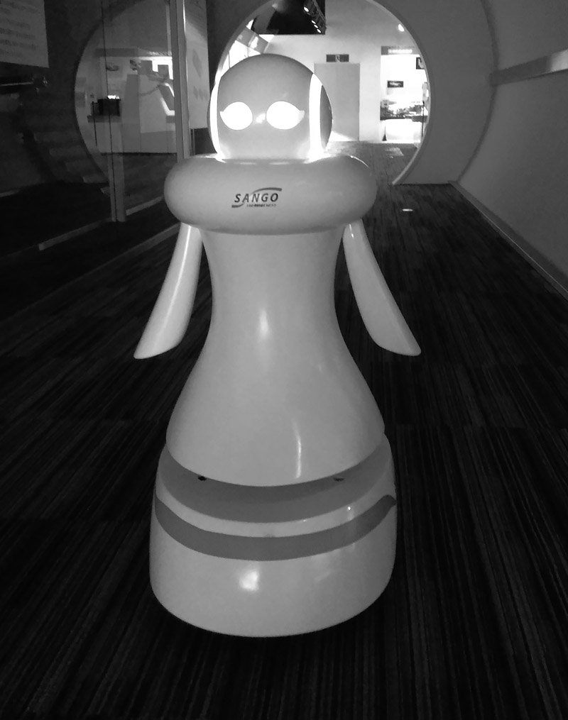Waypoint-Based Human-Tracking Navigation for Museum Guide Robot