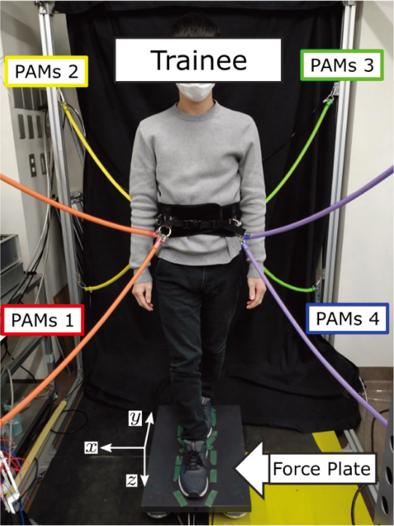 Whole-body training device using PAMs