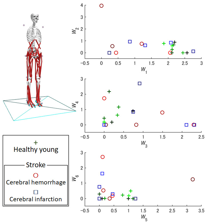 Extracted components of postural control