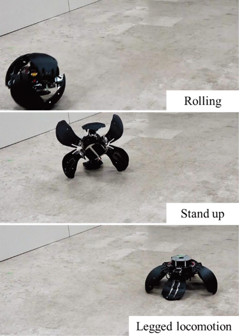 Motion of spherical shell robot
