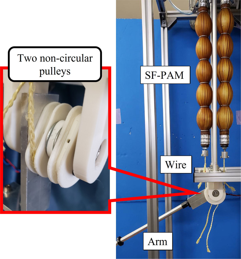 Manipulator with noncircular pulleys