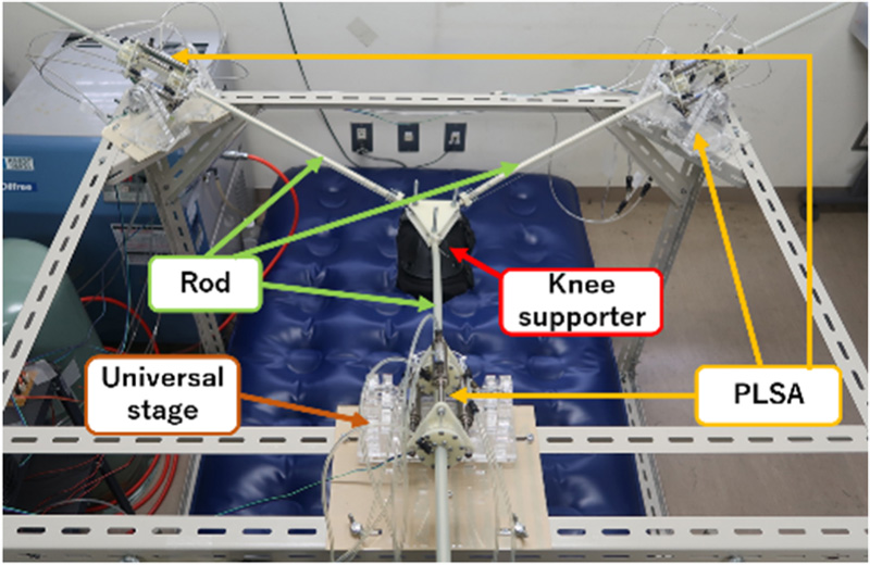 Passive exercise device using variable step PLSAs