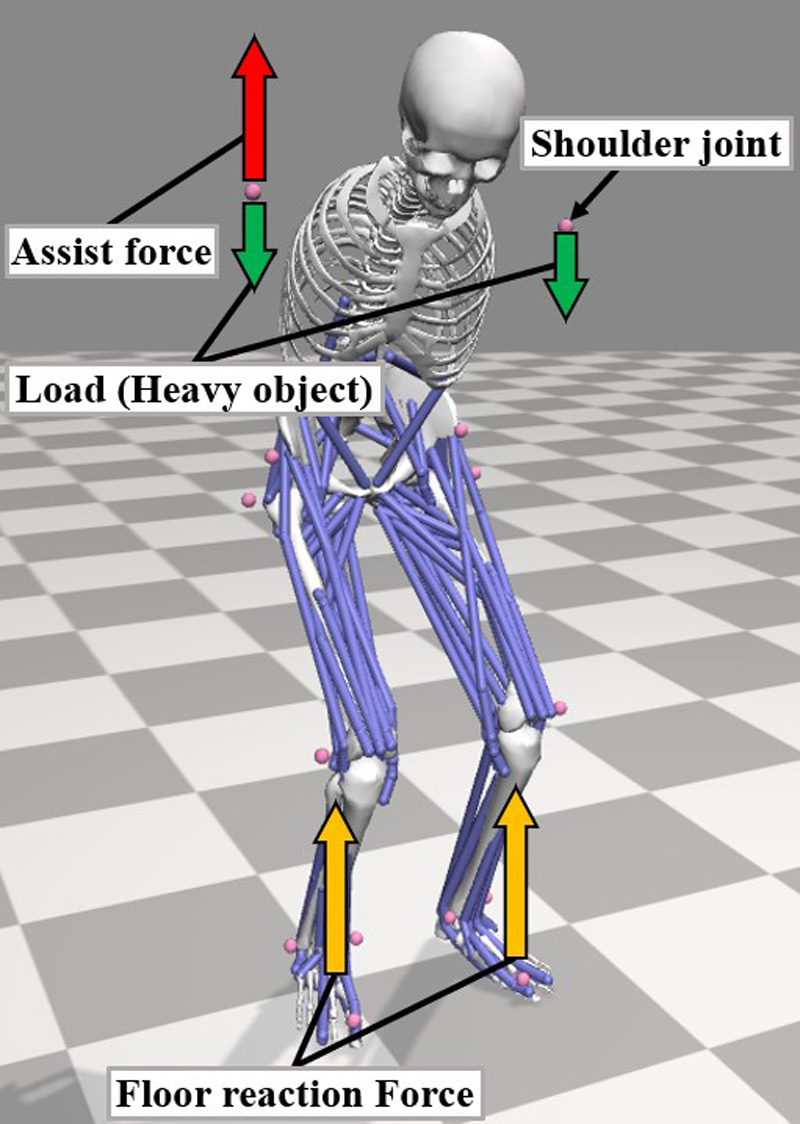Simulation of lifting motion