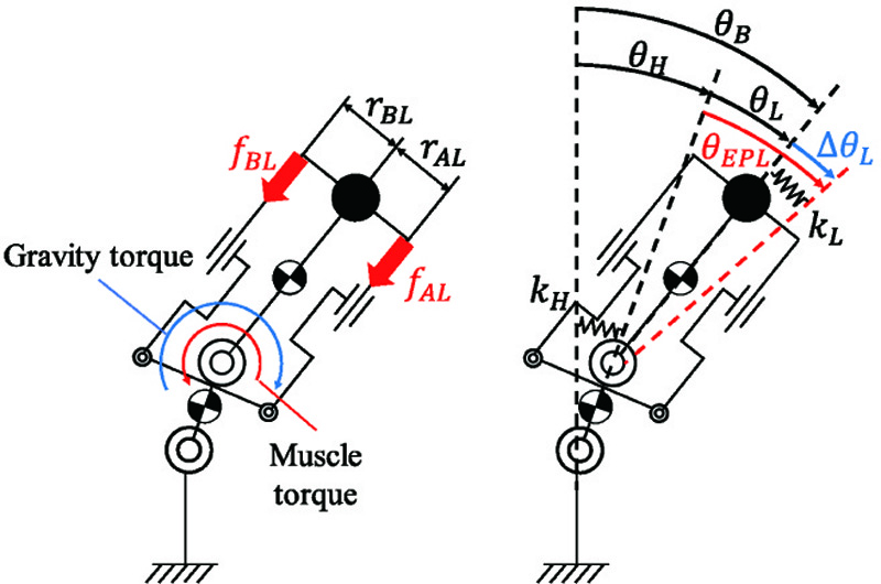 Link model joint angle