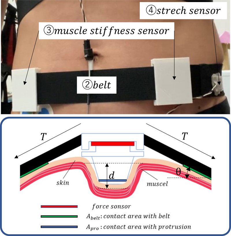 Image of the sensor attached to the human body and structure of the sensor