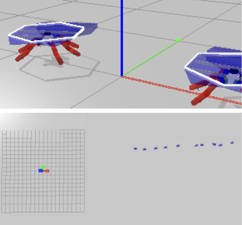 The coordinated motion of a multi-legged robotic swarm