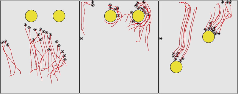 Collective behavior generated by the proposed method