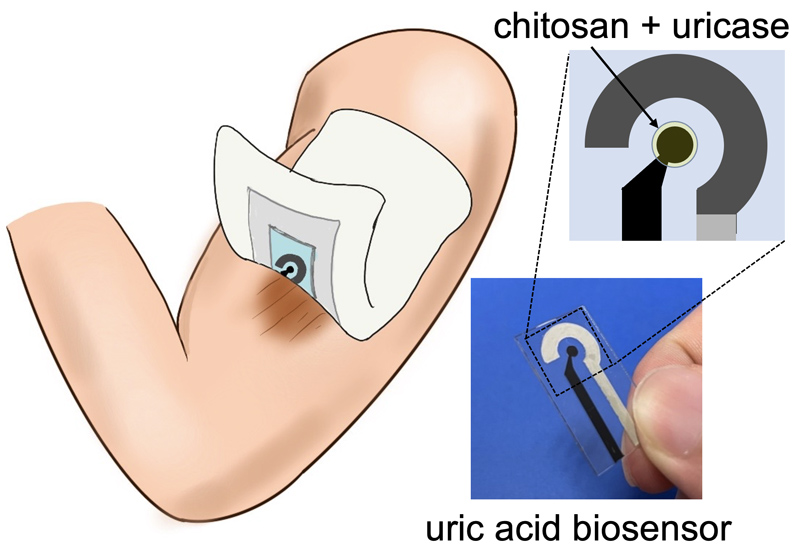 Uric acid biosensor for skin monitoring