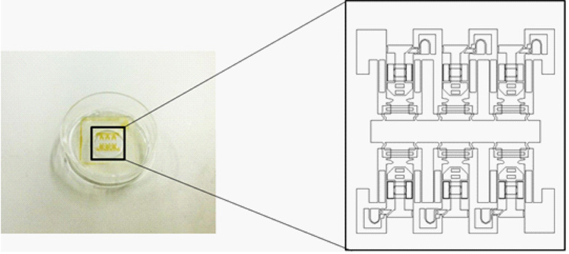 Originally developed cell stretch MEMS device