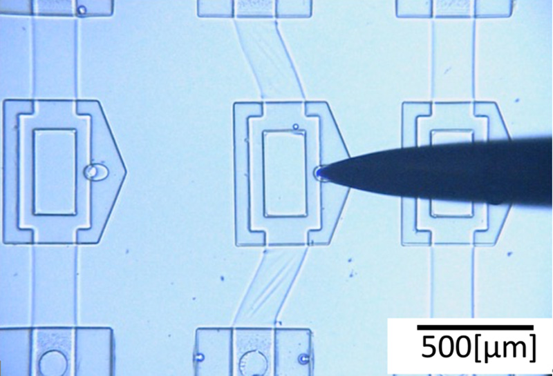 Micro stage for stimulation of cells