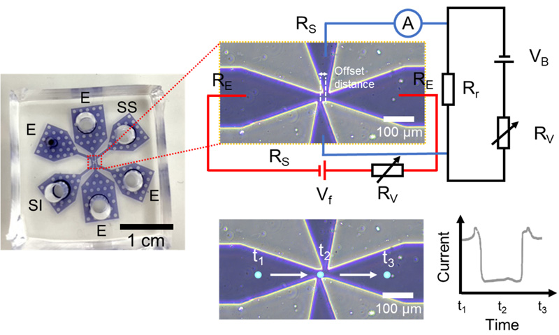 Overview of the microfluidic ion current measurement system