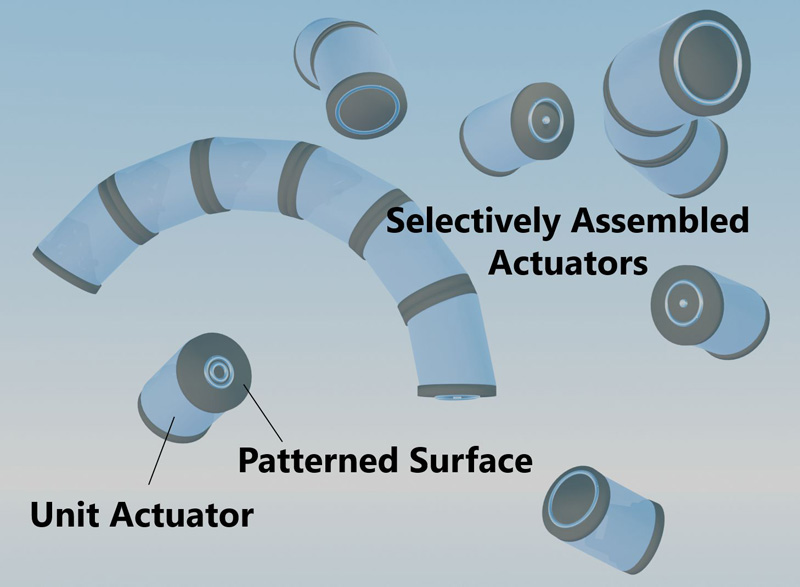Selective self-assembly of gel actuators