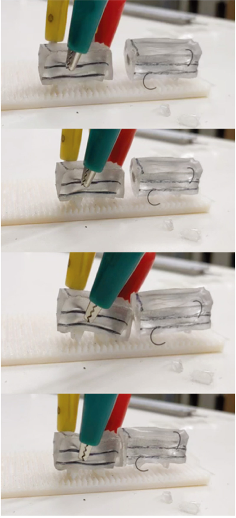 An self-healing inchworm-shaped robot being combined