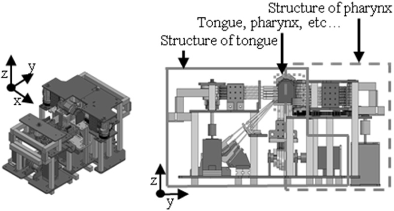 Developing robot to mimic human swallow