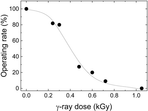 Operating rate of flash memories after γ-ray irradiation