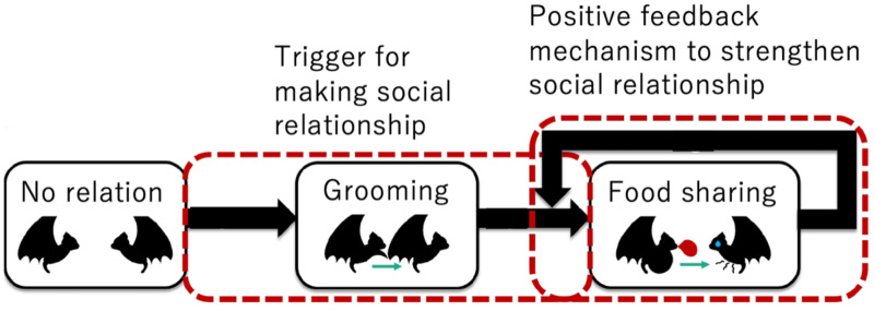 Community formation mechanism of vampire bats