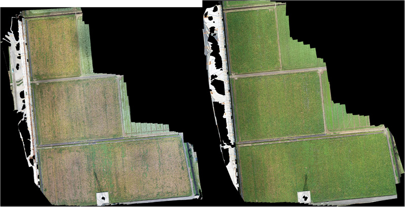 Alignment of two season’s orthomosaic images taken by drone