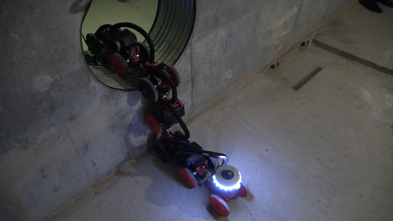 The articulated mobile robot