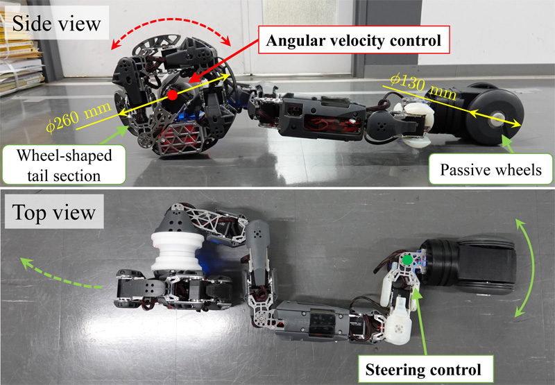 The transformable snake robot