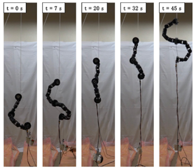 Adapting to the tension in rope climbing