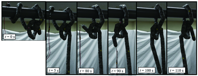 Hanging motion by utilizing half-hitch knot