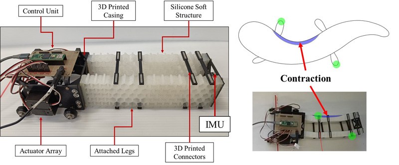 Design of the auxetic soft robot