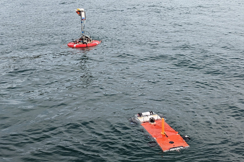 Low-cost AUV-ASV system for underwater surveying