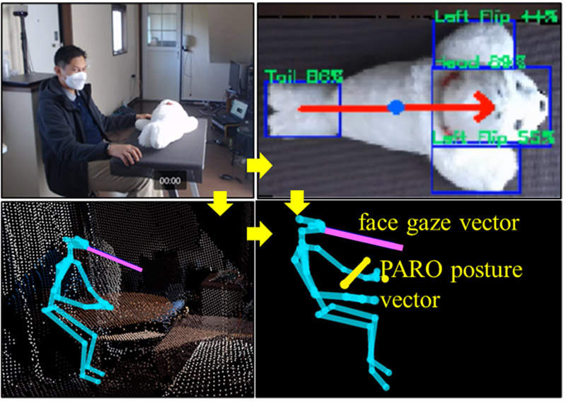 Human skeleton–PARO posture integration