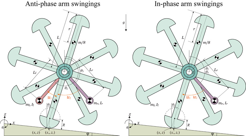 Anti-phase vs in-phase arm swingings