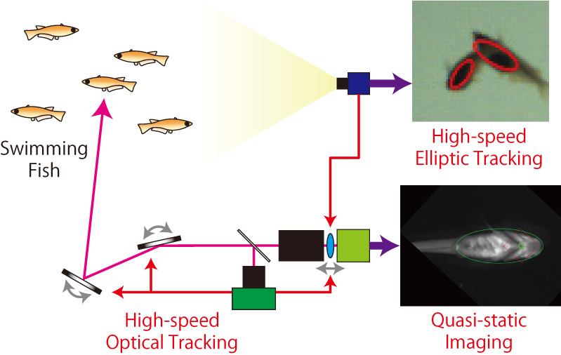 Concept of the proposed system