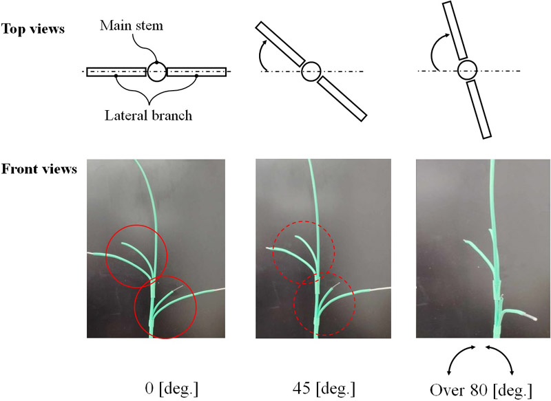 Comparative easy-to-pinch conditions